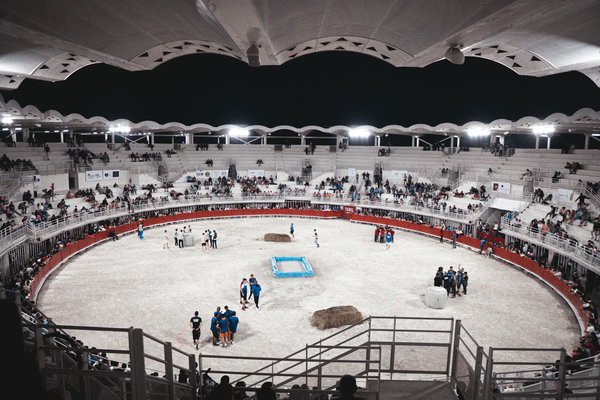 What are the career pathways in UK combat sports?